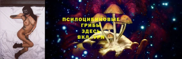 прущая мука Богданович