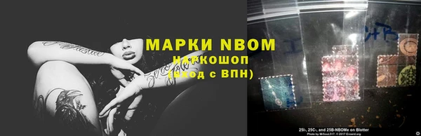 сатива Белокуриха