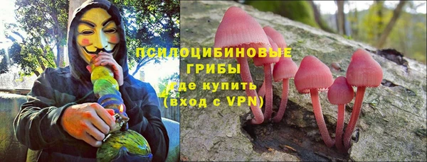 крисы Белоозёрский