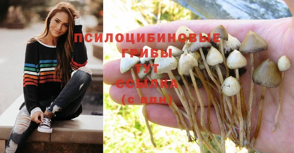 крисы Белоозёрский