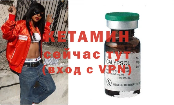 сатива Белокуриха