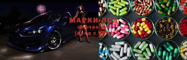 сатива Белокуриха