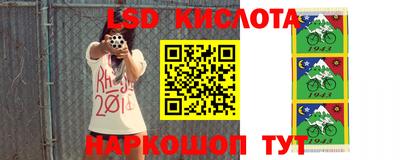 ПСИЛОЦИБИНОВЫЕ ГРИБЫ Бийск