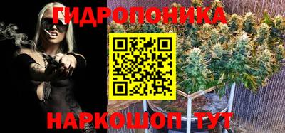 ПСИЛОЦИБИНОВЫЕ ГРИБЫ Бийск